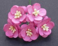 Ķiršu ziedi - Pink