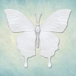 Mould - Butterfly 9 (XS)