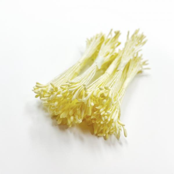 Stamens - Oblong Pale yellow